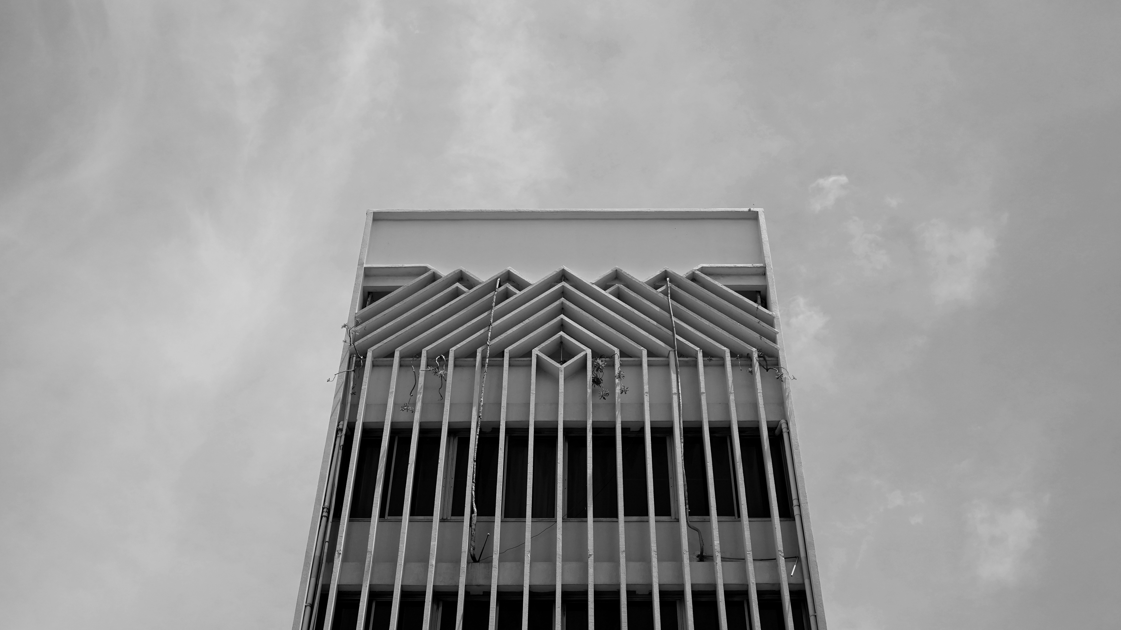 Random BW Photo